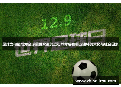 足球为何能成为全球最受欢迎的运动其背后有哪些独特的文化与社会因素