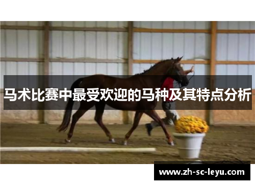 马术比赛中最受欢迎的马种及其特点分析