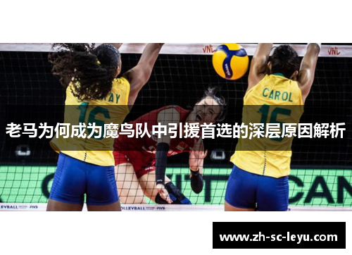 老马为何成为魔鸟队中引援首选的深层原因解析