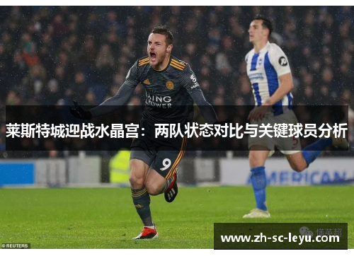 莱斯特城迎战水晶宫：两队状态对比与关键球员分析