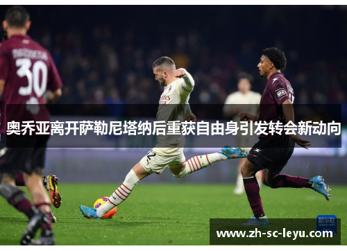 奥乔亚离开萨勒尼塔纳后重获自由身引发转会新动向